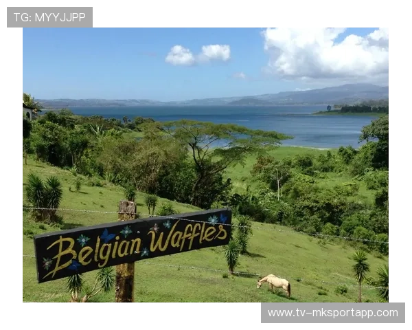 哥斯达黎加俱乐部携手美洲俱乐部共建康复平台，开启体育康复新时代