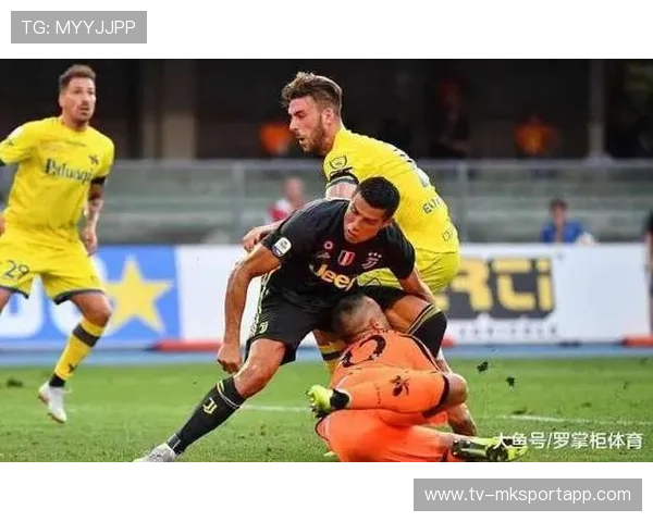 本周赛事票房创新高 主场效应显著，本周票房冠军