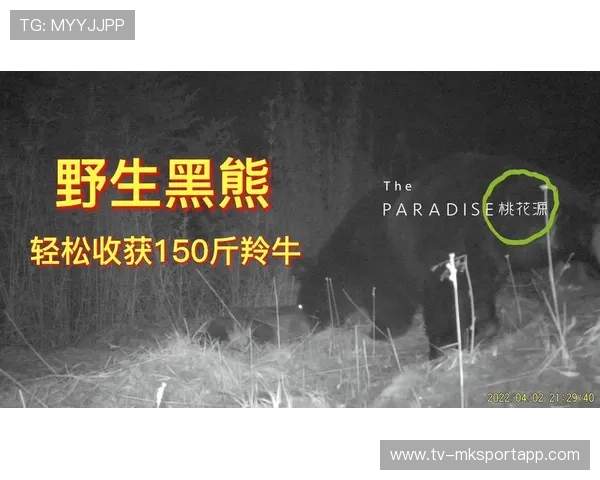 男孩靠“装死”躲过黑熊,网友直呼机智 男孩靠“装死”躲过黑熊,网友直呼机智