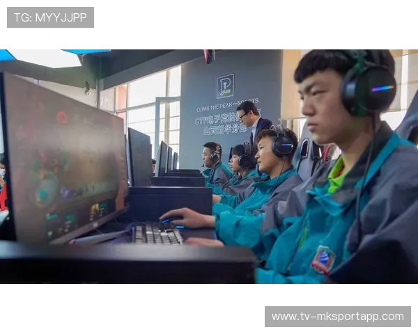 电竞市场规模持续扩大（133 ）