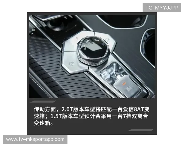 科技辅助恢复：高科技设备的性价比分析。