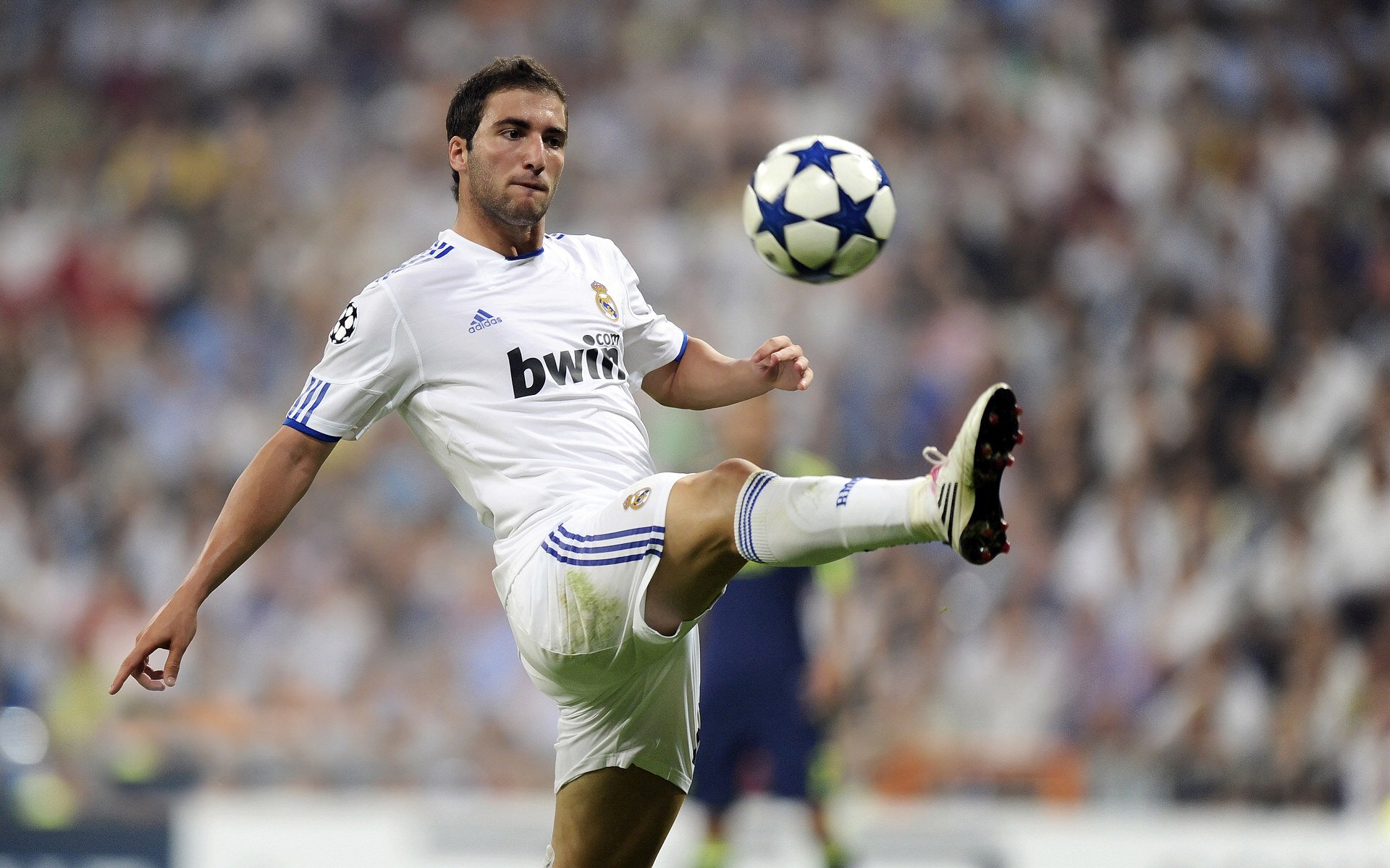 亚冠联赛中国队逆袭 球员精神面貌大增,亚冠中国队名单