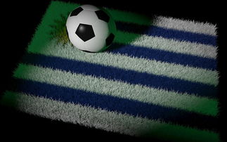 mksports官网-国足主帅研究新阵型适应对手，国足对手主帅辞职